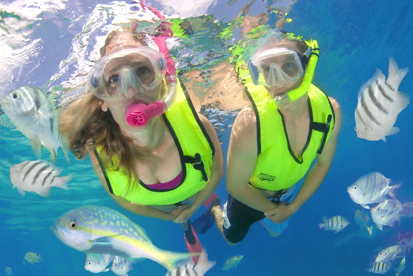 Snorkeling Excursion, Tropical Reefs & Sharks!