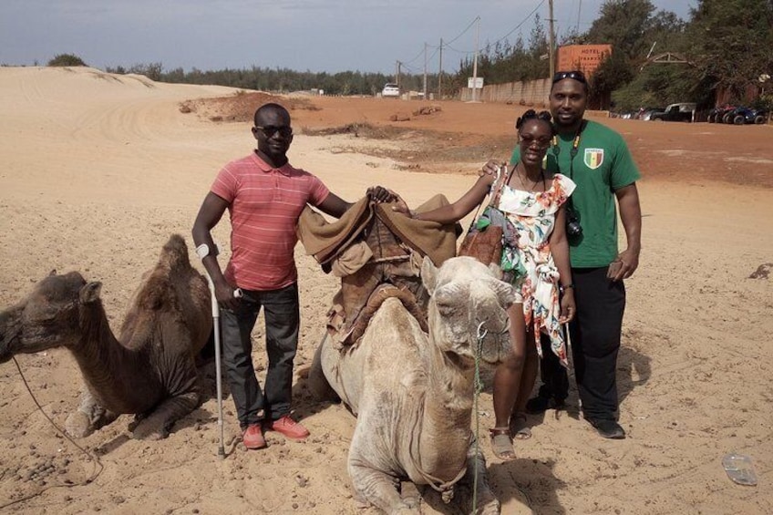 Camels pink lake
