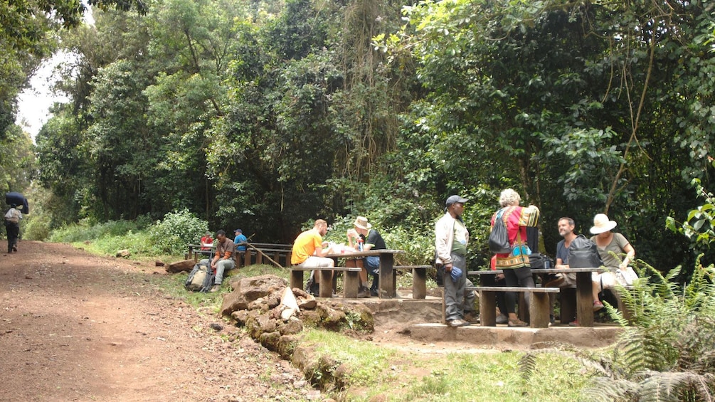 Picnicking group eating on tables next to a path at Mount Kilimanjaro National Park in Tanzania