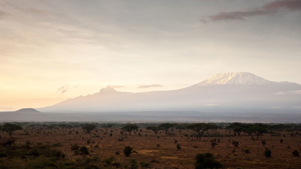 Sprawling field at Mount Kilimanjaro National Park with the mountain rising in the distance in Tanzania