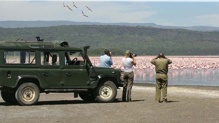 people taking photos in africa