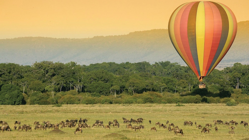 hot air balloon in africa