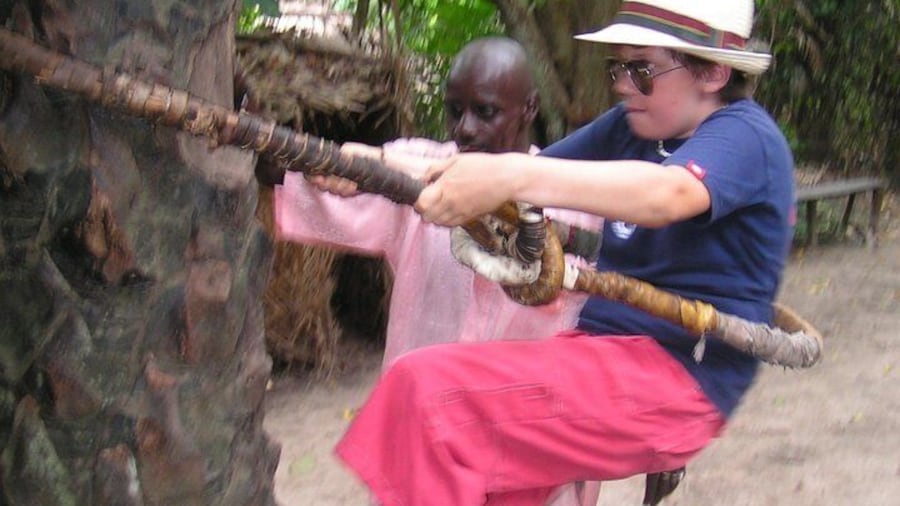 Climbing the palm tree