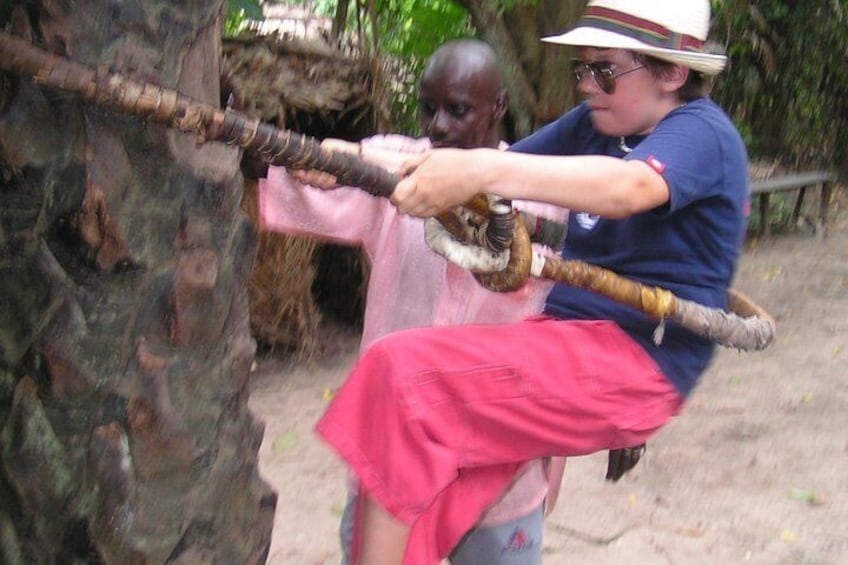 Climbing the palm tree