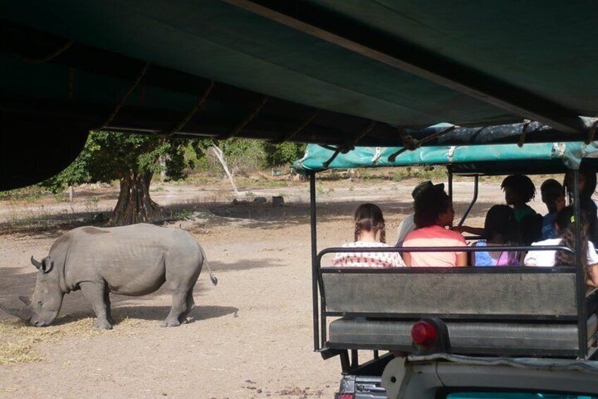 Safari To Fathala, Senegal