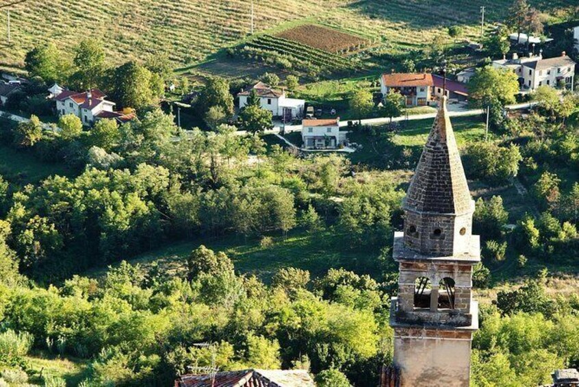 Taste of Istria (Wine & Delicates tasting) from Rijeka