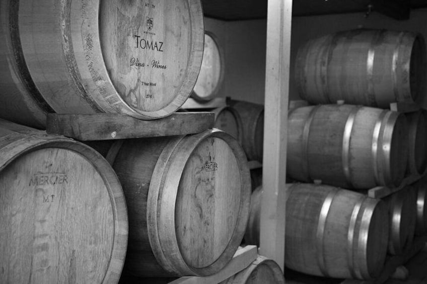 Taste of Istria (Wine & Delicates tasting) from Rijeka