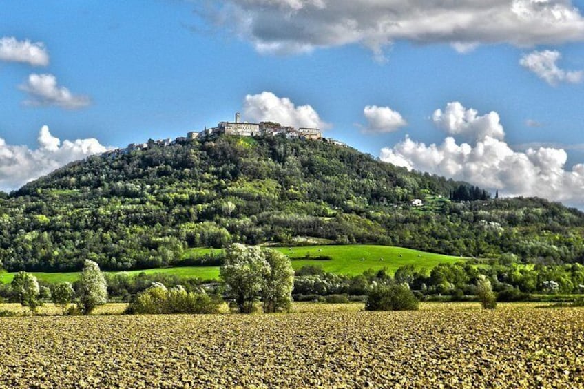 Taste of Istria (Wine & Delicates tasting) from Rijeka