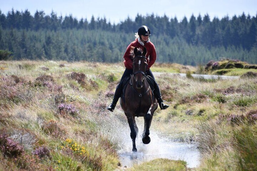 Our Liberty Trails red coats are hard earnt and only given to the most trusted guides