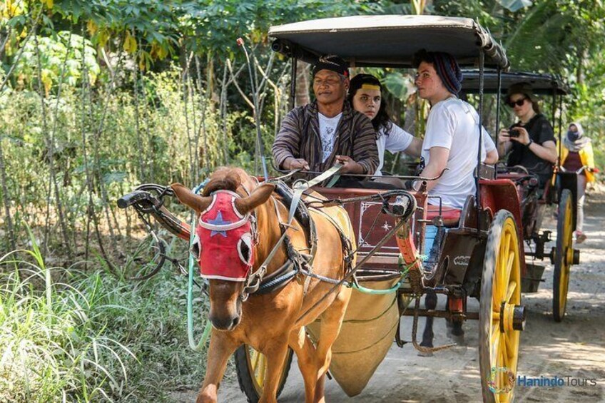 Candirejo Village Tour