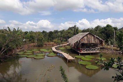Full-day Cai Rang floating market - explore countryside, make bakery - from...