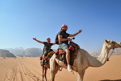 Petra & Wadi Rum Wildlife Desert Camping & Safari