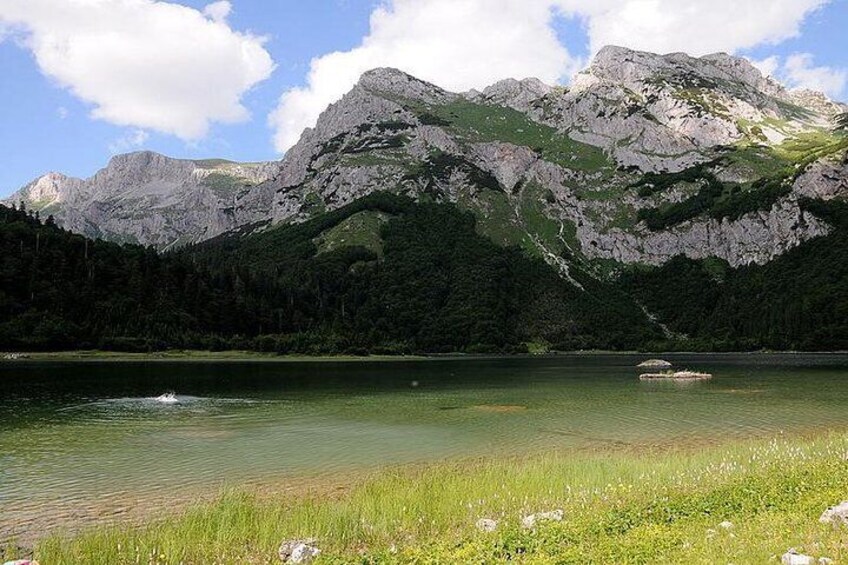 Mystical Sutjeska National Park