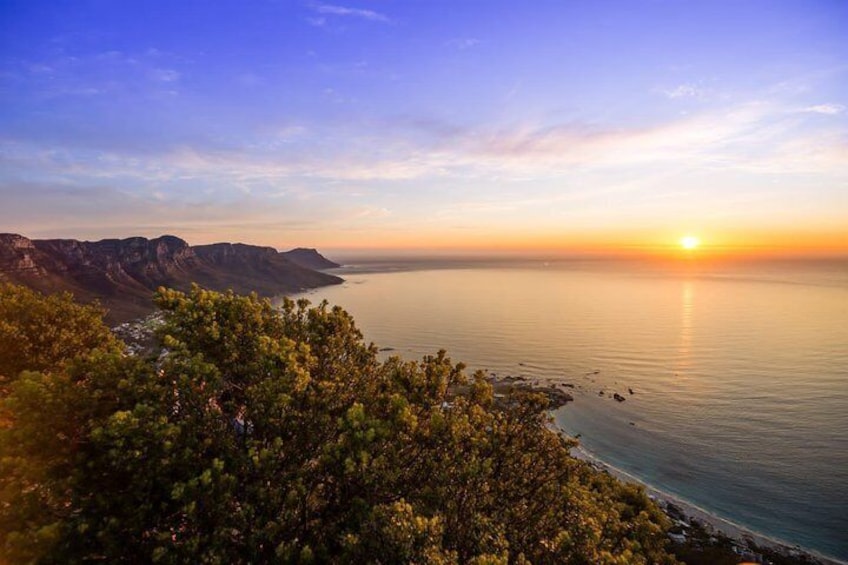 Hike Table Mountain or Lions Head in Cape Town Like a Local