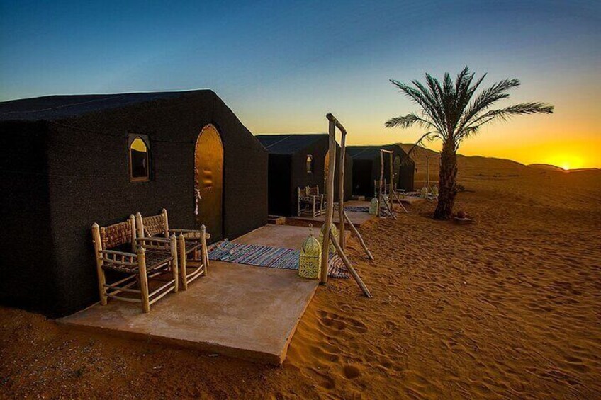 TOP 1 Night Desert Camp Camel Ride all inclusive ™️