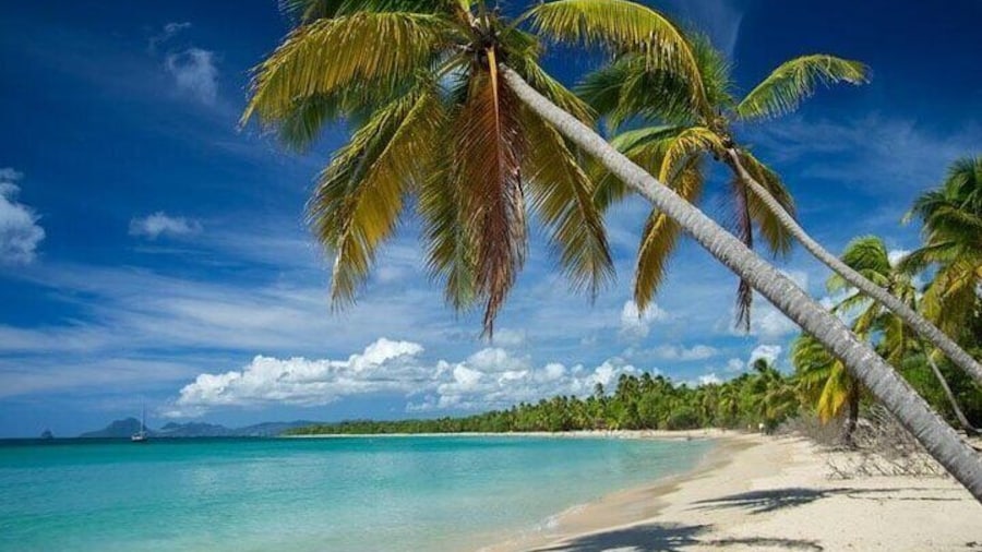 South Shopping & Les Salines Beach Break