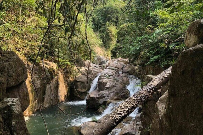 Full-day Hon Ba Nature Reserve, Bbq, Hiking & Hidden Waterfalls