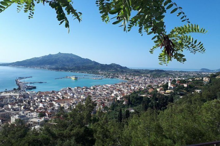 Show item 5 of 20. Zakynthos island: One day tour to Navagio Shipwreck Beach Blue Caves & top view