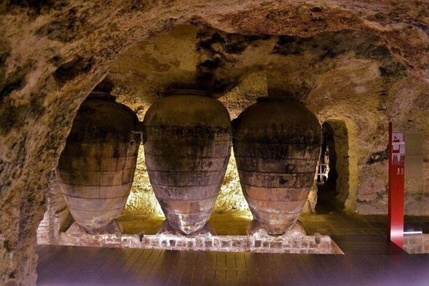 Wine and Olive Oil Tour from Valencia