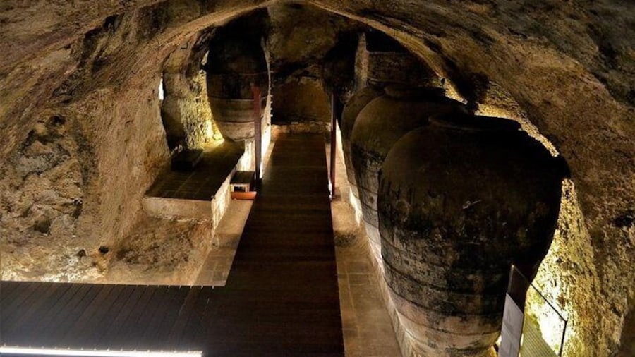 Small Group - Half-Day Wine Tour