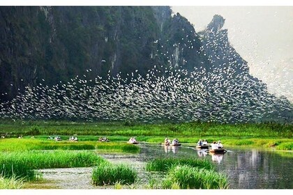 Ninh Binh – Van Long Wetland Reserve 2 Days 1 Night