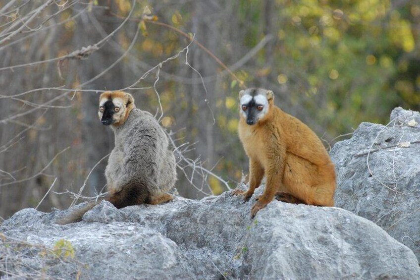 descent river trip with canôe, the national park of Tsingy of Bemaraha ( 8days )