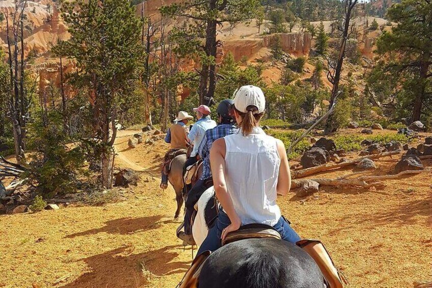 Ruby's Horseback Adventures Utah Thunder Mt. 4 Hour Ride