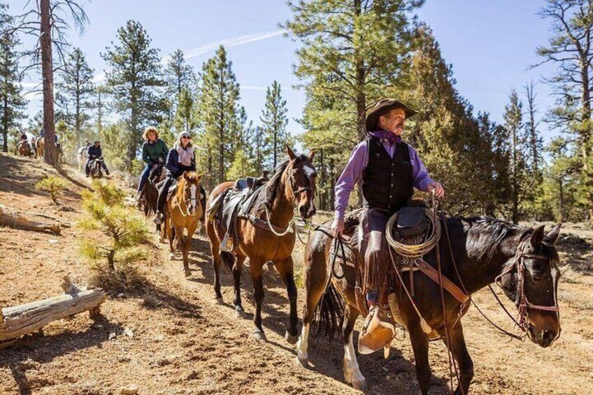 Ruby's Horseback Adventures Utah Thunder Mt. 4 Hour Ride