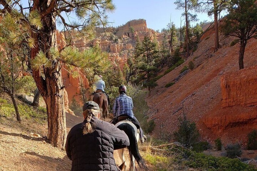 Ruby's Horseback Adventures Utah Thunder Mt. 4 Hour Ride