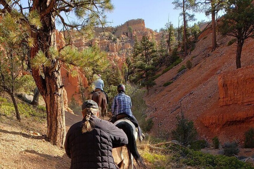Ruby's Horseback Adventures Utah Thunder Mt. 4 Hour Ride