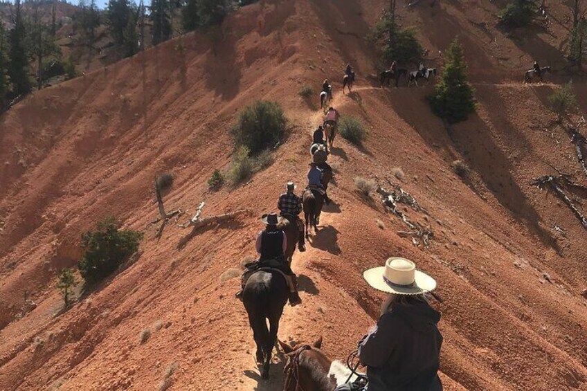 Ruby's Horseback Adventures Utah Thunder Mt. 4 Hour Ride