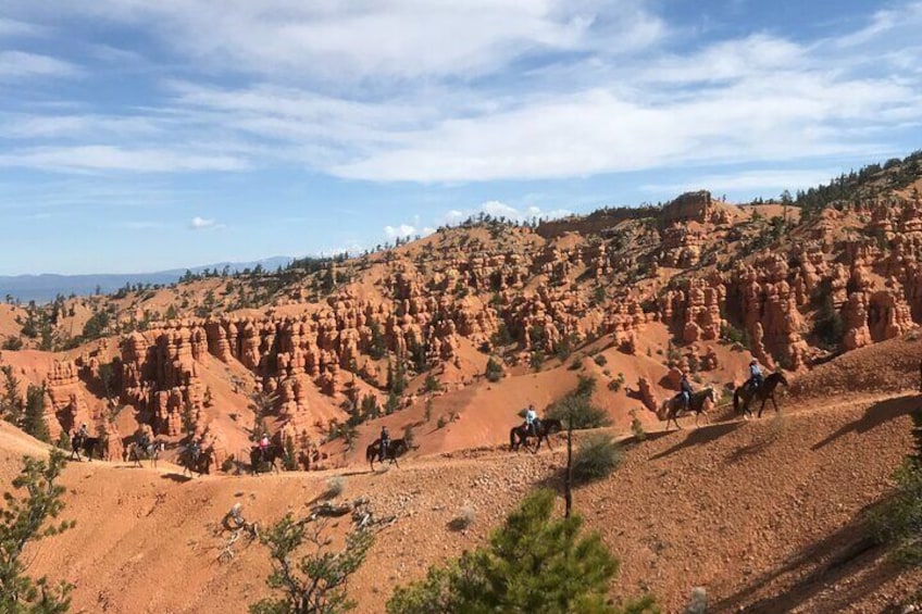 Ruby's Horseback Adventures Utah Thunder Mt. 4 Hour Ride