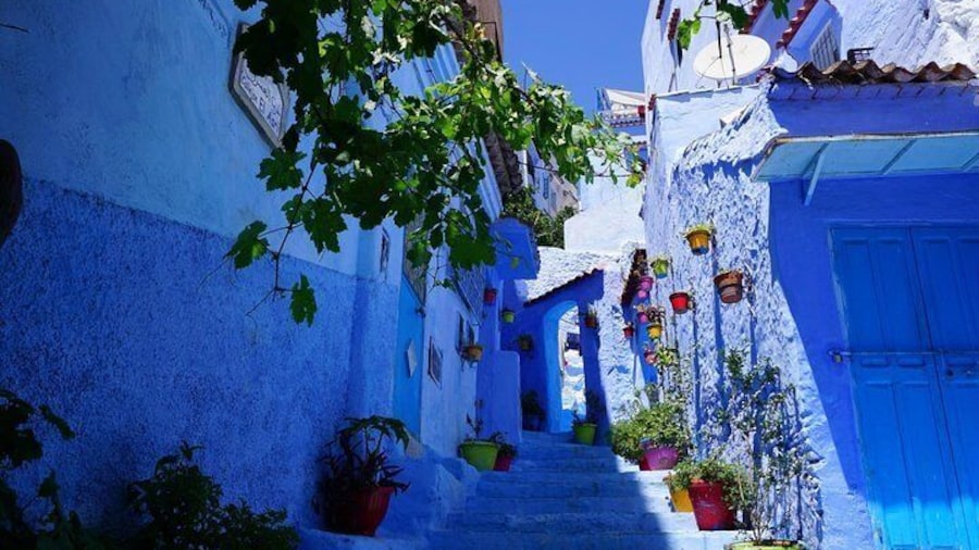 Full Day Chefchaouen & Akchour Waterfalls From Tetouan