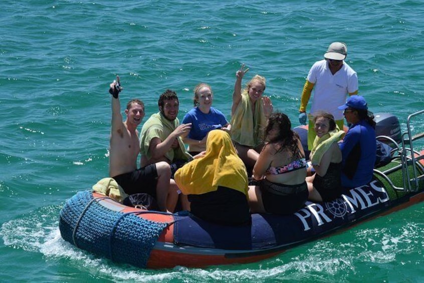 Show item 4 of 4. Volunteer in the Galapagos Islands