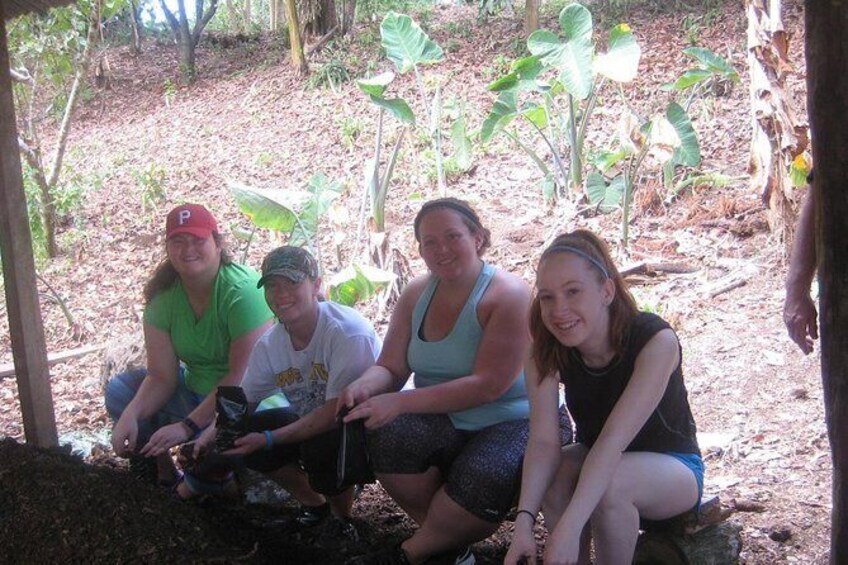 Show item 2 of 4. Reforestation activities in the Galapagos Islands