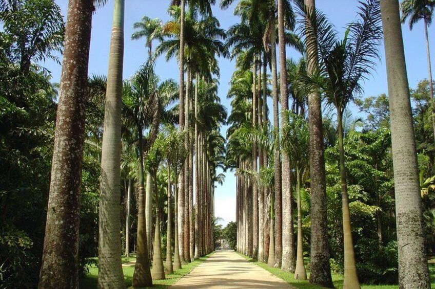 Botanical Garden