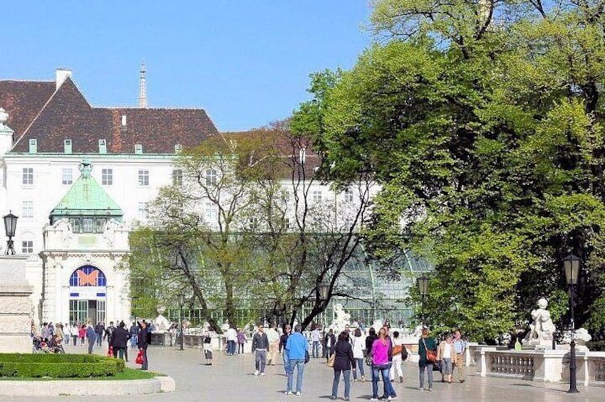 Schmetterlinghaus - Imperial Butterfly House Vienna Admission Ticket