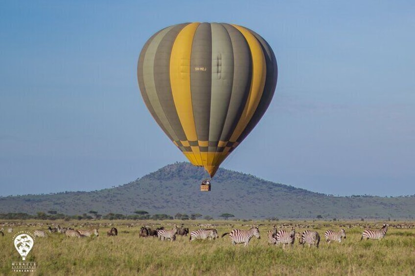 Fly over Serengeti! Balloon Safari & Bush Breakfast in the Wild.