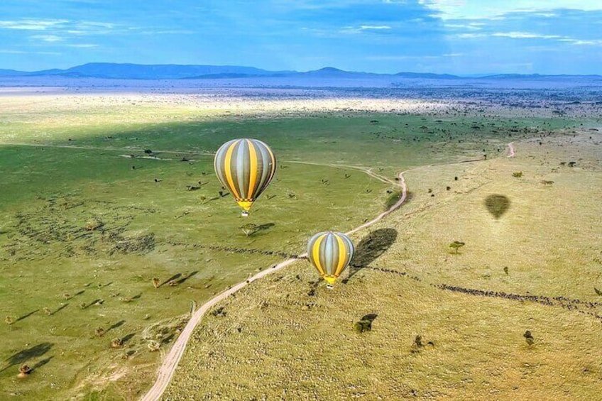 Miracle Experience | Hot Air Balloon Safari & Breakfast in Serengeti