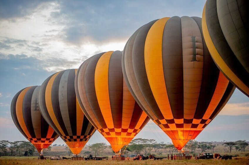 Fly over Serengeti! Balloon Safari & Bush Breakfast in the Wild.