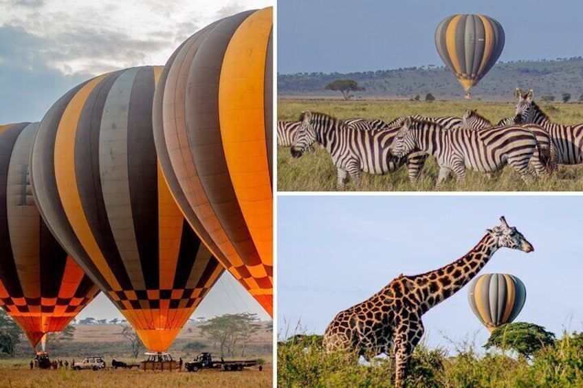 Fly over Serengeti! Balloon Safari & Bush Breakfast in the Wild.