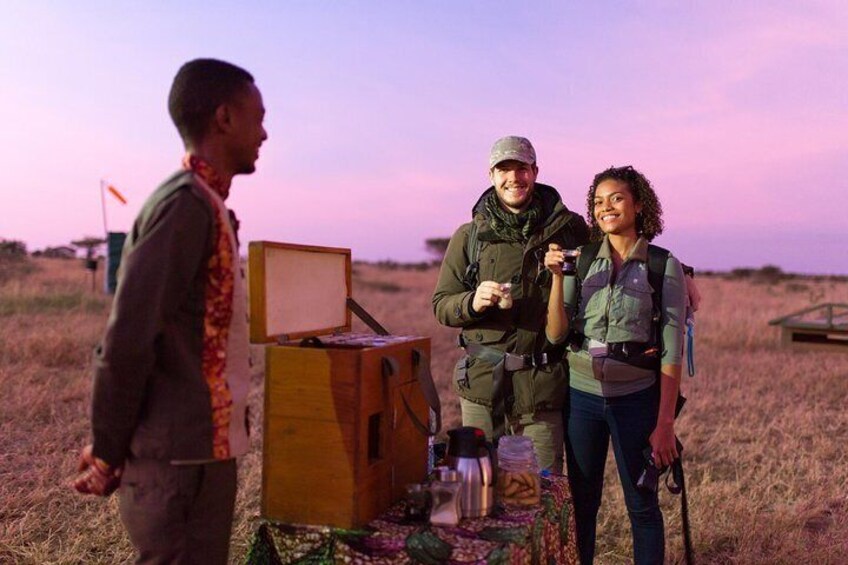 Half-Day Hot Air Balloon Safari and Breakfast in Serengeti