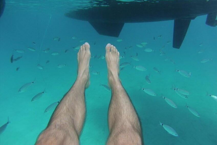 Below the surface, the waters of Formentera are full of life!