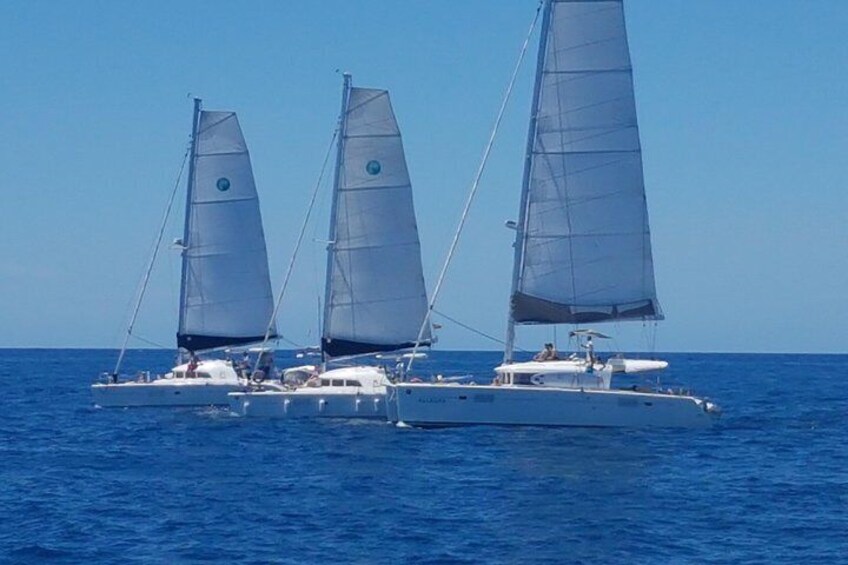 A nice photo of three of our catamarans.
