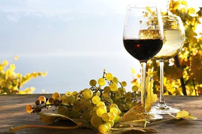 Private Wine Tour in Azerbaijan