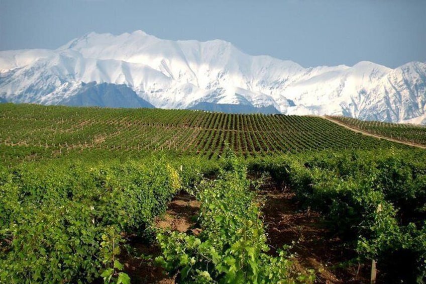 Private Wine Tour in Azerbaijan