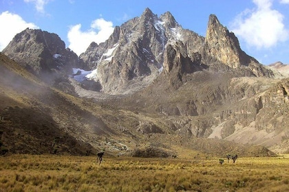 4 Days Mount Kenya Trekking 