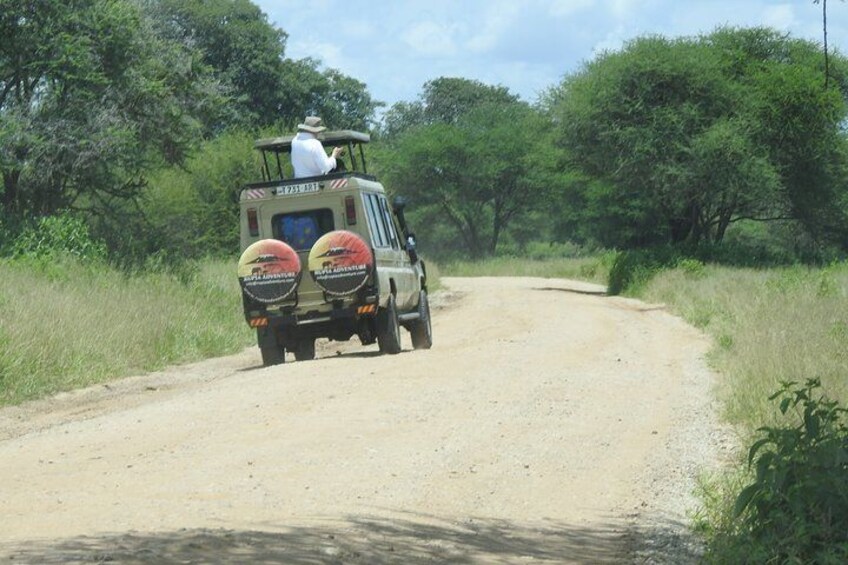 8 Days Top Luxury Tanzania Safari