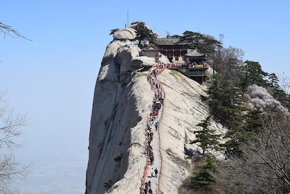 All-inclusive Day Tour to Mt. Huashan & Terra Cotta Army Museum