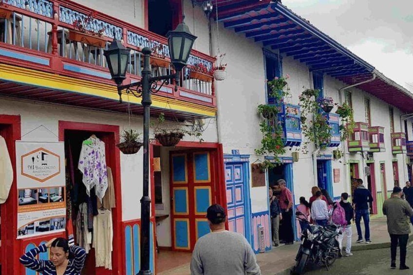 Wax Palms, Salento and Coffee Private Full Day Tour